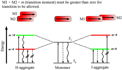 Exciton levels
