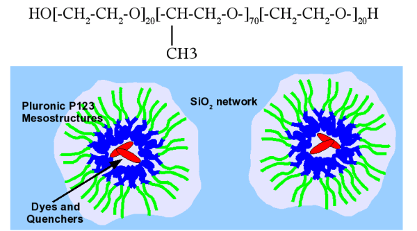 sol-gel network